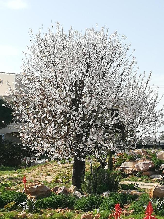 Monte Viana Villa Fuzeta Luaran gambar