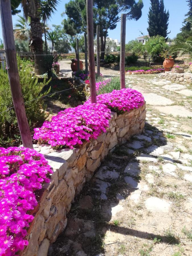 Monte Viana Villa Fuzeta Luaran gambar